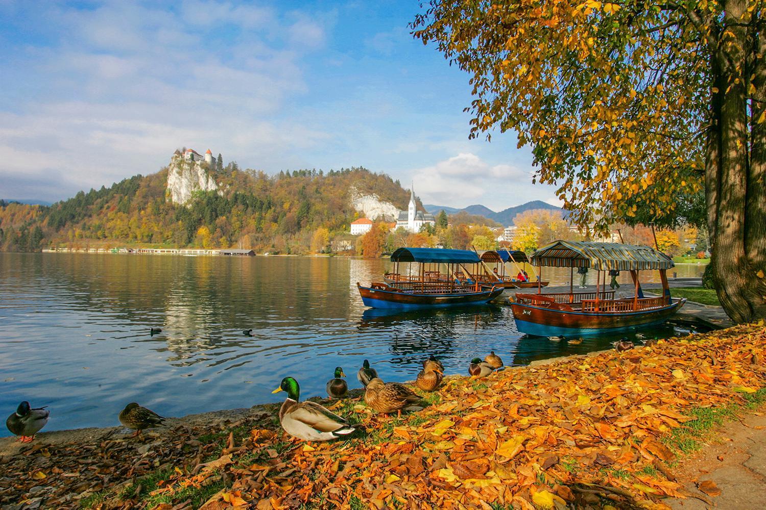 Goldenfields Apartment Kranj Dış mekan fotoğraf
